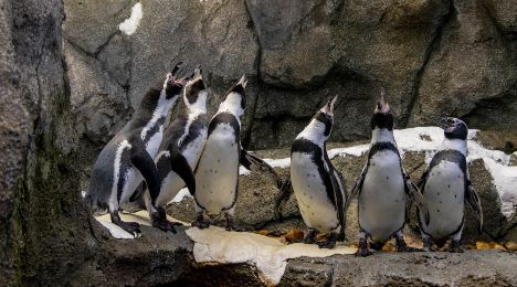 Calgary Zoo